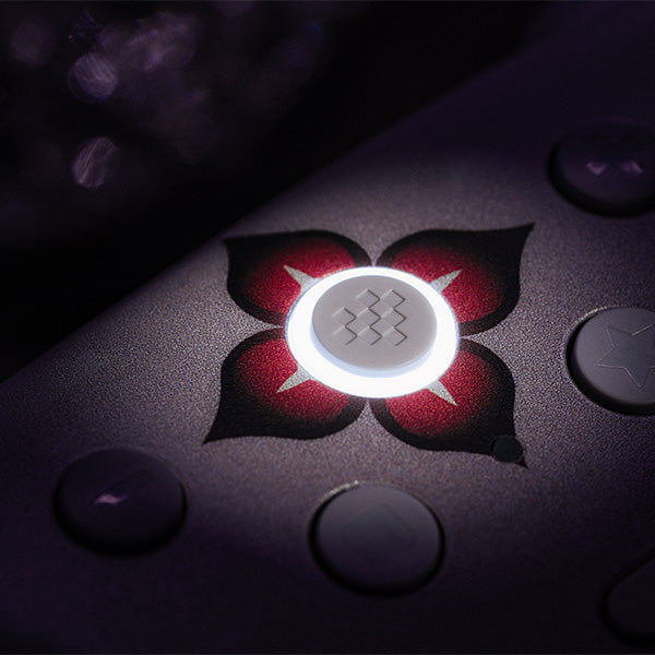 8BitDo Ultimate 2 Wireless Controller (Honkai: Star Rail - Evernight) - Gaming Controller for Supported Systems