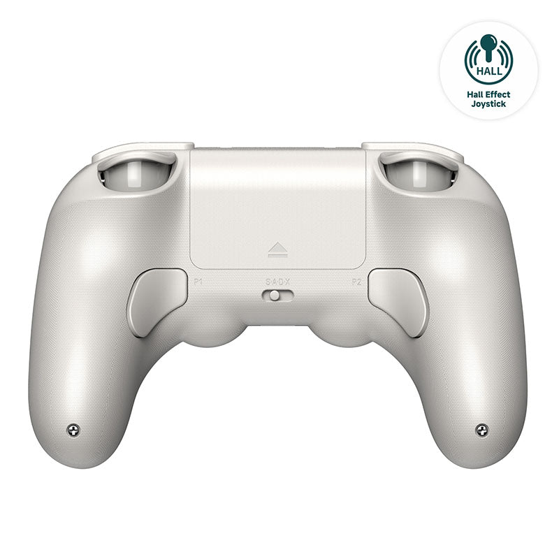 8BitDo Pro 2 (Hall Effect Joystick) - Everyday Gaming Setup Accessory Edition