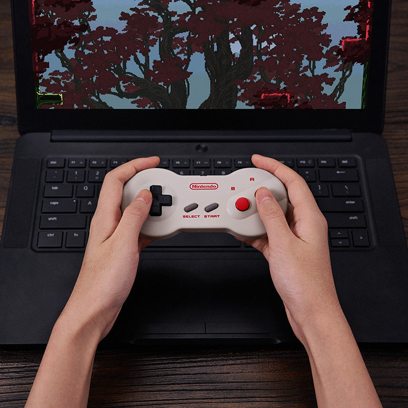 8BitDo Mod Kit for Original Dogbone Controller - Controller Conversion Edition for Compatible Models